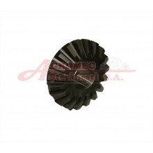 Pinion Z19 316.006